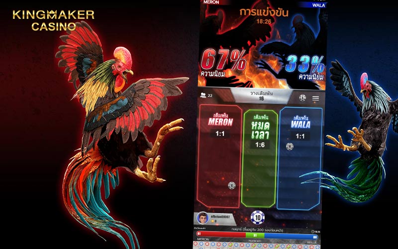 ข้อมูลเบื้องต้น COCKFIGHTING ARENA